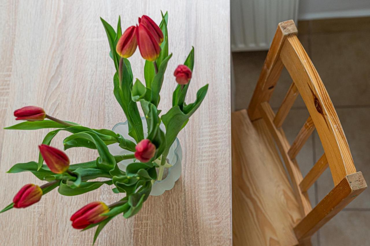 Apartament Mona Lisa Sopot Dış mekan fotoğraf